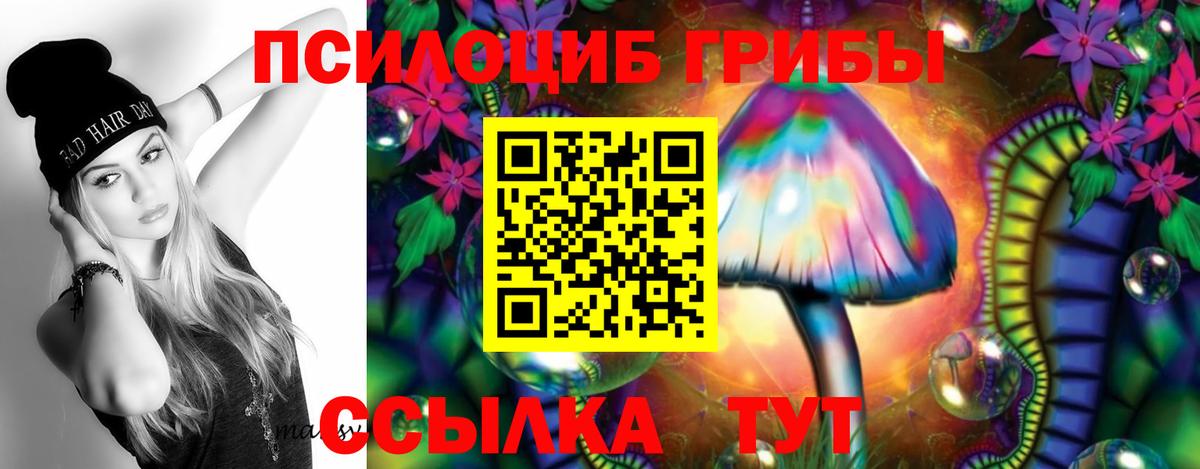 Псилоцибиновые грибы Magic Shrooms Лосино-Петровский